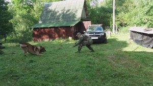 Подвигались с Диком чуть-чуть