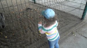 Наша Даша в детском зоопарке!