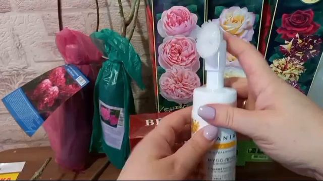 ОБЗОР РОЗЫ 🌹 смотреть онлайн