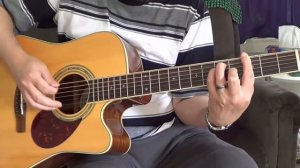Samick D6CE by Greg Bennett Acoustic Electric Guitar Demo / Review