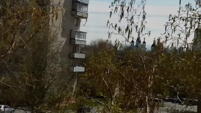 Директор МКУК "ЦГДБ им. А.С. Пушкина Л. Н. Белякова поздравление с Днем Победы-2020 смотреть онлайн