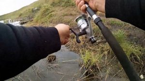 Оша. Щучье эльдорадо. Рыбалка в Омской области. Тюкалинск- р.Оша.