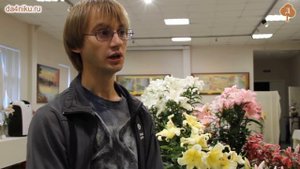 Лилии в дизайне сада