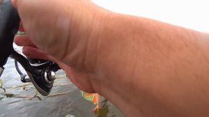 ДОНКИ + ОТВОДНОЙ ПОВОДОК ! Рыбалка на ОКЕ 2021!