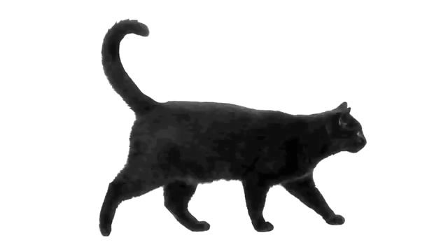 кот 2. Но без рекламы