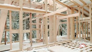 Дом в лесной сказке/индивидуальный проект от SkN-DoM