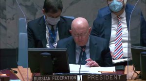 Выступление В.А.Небензи на заседании СБ ООН по гуманитарной ситуации на Украине