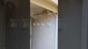 Ввод кабеля в дом под землёй в траншее.