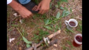 Сплав по реке Хилок, маршрут Катангар - Катаево