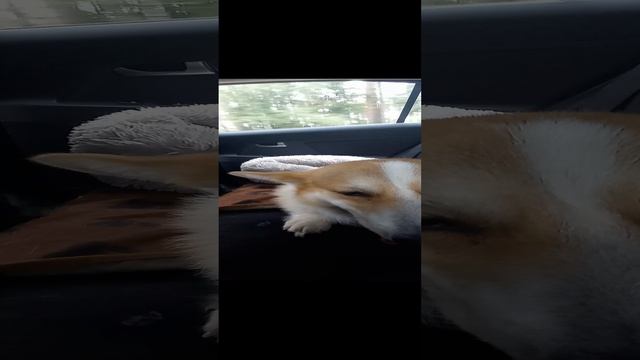 флеш