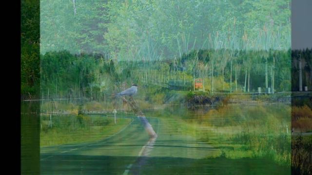 "КРАСНЫЙ САРАФАН"... (Фото Сергея Черных, музыка - Александр Гурилёв - Оркестр Джеймса Ласта) смотреть онлайн