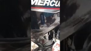 1 Обзор ПЛМ Mercury 60 ELPT № 1С654975