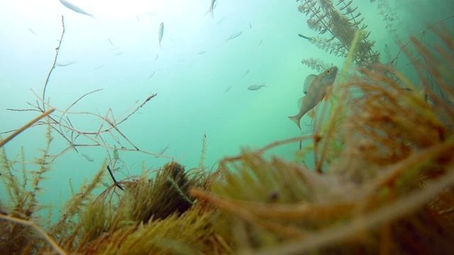 Шелеховский карьер, тест камеры подо льдом. смотреть онлайн