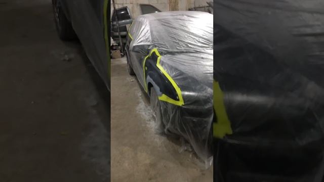 Окрас Форд фокус смотреть онлайн