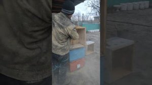 Чистка и дезинфекция ульев после зимовки