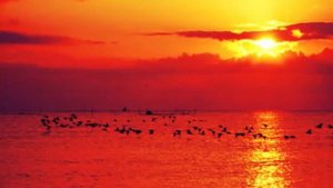 Katherine Jenkins - Le Cose Che Sei Per Me