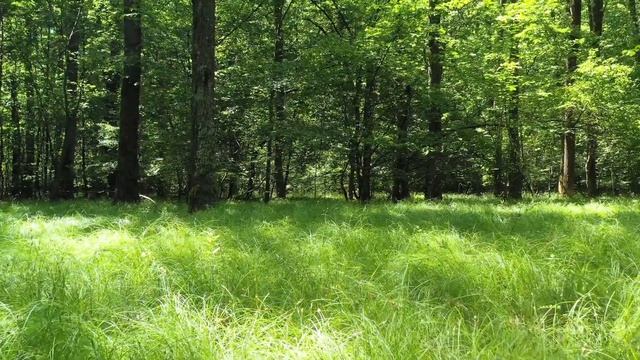 Эту Вселенную создал человек. Так считает... смотреть онлайн