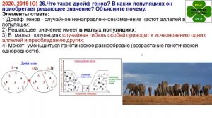 ДВА ЗАДАНИЯ ПРО ДРЕЙФ ГЕНОВ И ПОПУЛЯЦИОННЫЕ ВОЛНЫ