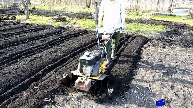 Фрезы  Гусиные лапки на мотокультиватор Техас