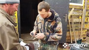 Вес поросят в 20дней.-Вес Ягнят в 3месяца.вес Порадовал.