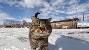 Загрузил с Сибири газель с прицепом. Едем домой.