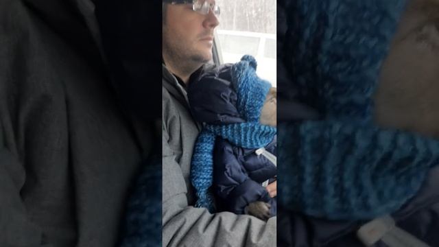 Жора и Боря по семейным обстоятельствам едут к нам #monkey #обезьяна #макака смотреть онлайн