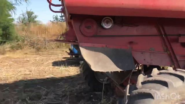 Подсолнух Шенон 18ц/га? КЕЙС 2166