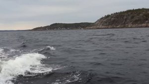 Прогулка по Белому морю .Чупа остров Великий река Кереть.