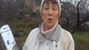 как спасти молодые яблони от мышей.