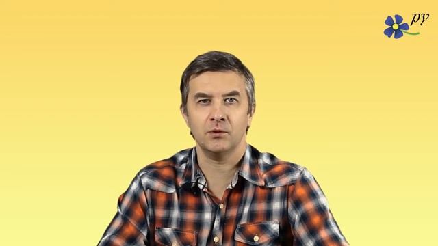 Инжир комнатный