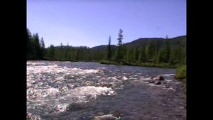 Саянские этюды. Реки: Агул, Малый Агул, Орзагай. Восточный Саян.