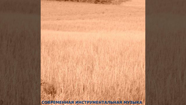 Современная Инструментальная Музыка смотреть онлайн