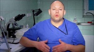 Исскуственное осеминение собак. 1 часть