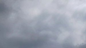 по уходу за могилой Юрия Шатунова претендует ещё одна "лже хозяйка - уборщица"