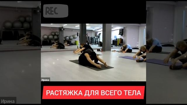 РАСТЯЖКАМ НА ВСЁ ТЕЛО \ РАСТЯЖКА ДЛЯ НАЧИНАЮЩИХ \ ЗДОРОВАЯ СПИНА \ ОНЛАЙН ТРЕНИРОВКИ смотреть онлайн