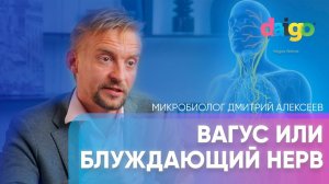 Вагус или блуждающий нерв  - Биолог Дмитрий Алексеев