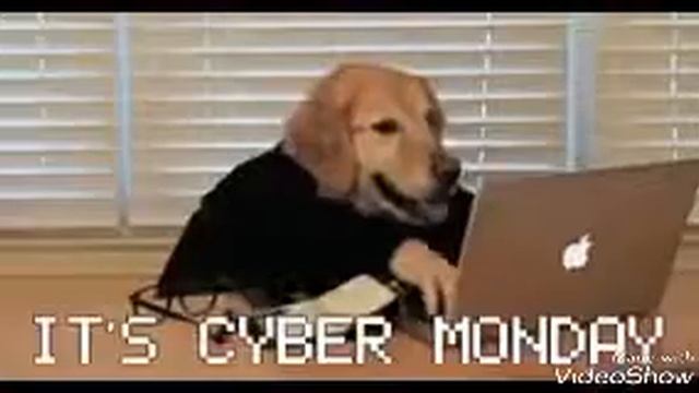 Смешная озвучка животных! смотреть онлайн