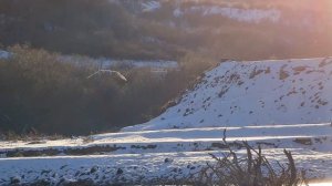 Рыбалка в КБР # Trout fishing, река Баксан 27 декабря.