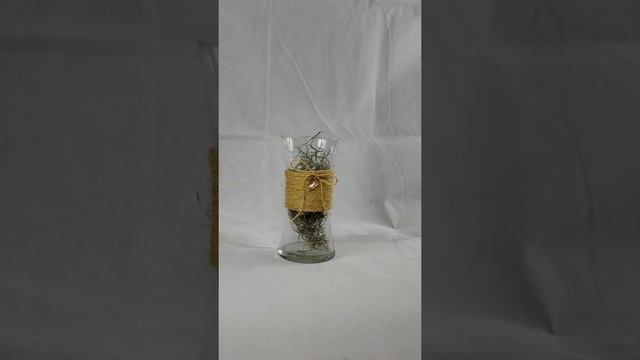 MAGNOLIA DRY LEAF смотреть онлайн