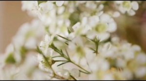 Шалум Пинхасов - Дарите Женщинам Цветы