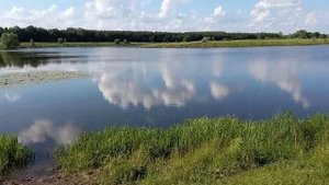 Деревня Ягодная. Пильнинский район. Озеро Тишино.
