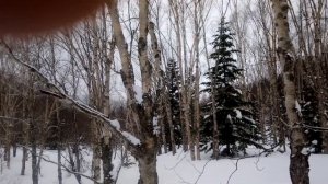 Ямаха фазер 500