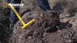 КАРТОФЕЛЕКОПАТЕЛЬ ТОРНАДИКА_RU