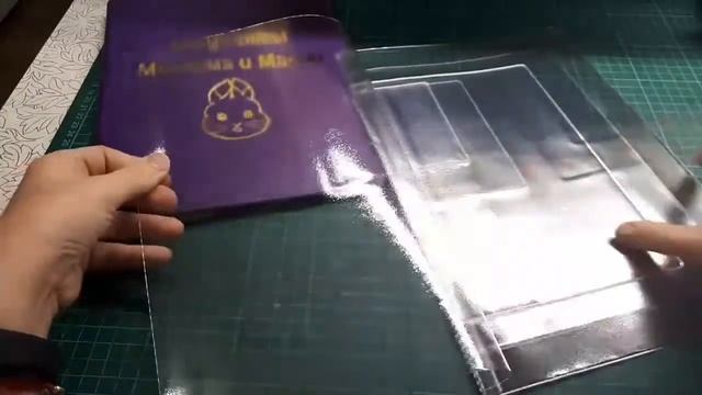 Вкладыши для документов. Различие старого и нового вкладышей