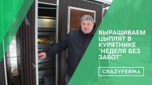 Вырастили бройлера на 400 грамм, потратив 30 минут! Возможно такое?