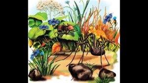 Как муравьишка домой спешил  Бианки В.В.