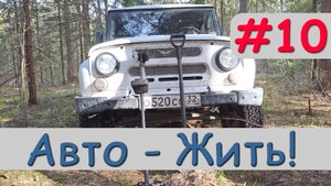 Прогулка в лес подышать свежим воздухом. 9.04.24