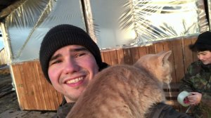 Работаем с животными себе на радость