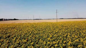 Красивые виды Кубани. Новотитаровские поля.