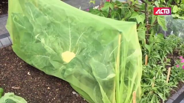 «Наш день»: 10 октября 2018 смотреть онлайн